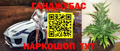гидропоника Кингисепп